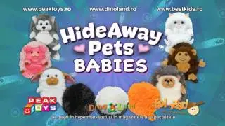 Hideaway Pets 20s 14102014 VIZIONARE