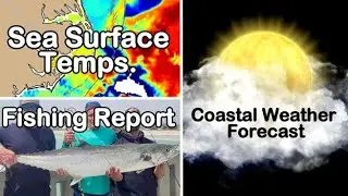 Saltwater Fishing Report! Cobia, BIG King Mackerel and Bluefish Blitz!