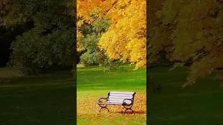 Nature&rsquo;s colors refresh the soul 🍃🌸 Escape the noise. #NatureLovers #Wanderlust #EarthMood