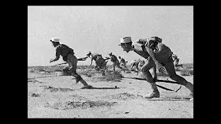 The Free French Victory over Rommel : Bir Hakeim, 1942