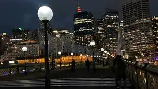 Darling Harbour Bridge 🇦🇺Australia|| Night view