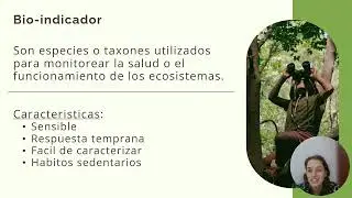 Macro y Mesofauna ed&aacute;fica como Bio-indicador del estado de antropizaci&oacute;n del suelo