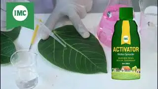 imc Activator wetter-spreader🧫♻️