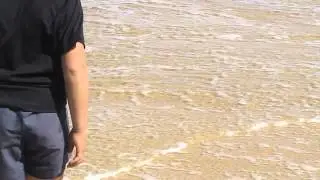 Journ&eacute;e initiation de surfcasting (la louvine scc)