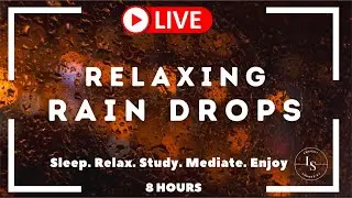 🔴 Relaxing Rain Drops | Sounds For Deep Sleep | Nap Sounds | Sleep Sounds | Study Sounds