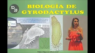 Biolog&iacute;a de Gyrodactylus