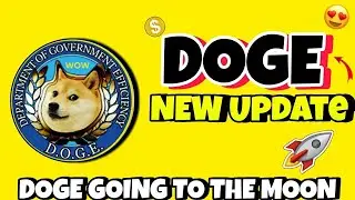 Министерство эффективности государственного управления США (DOGE) отправляется на Луну 🌙 ​​| НОВО...