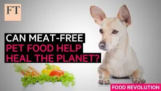 Can meat-free products curb pet food's environmental impact? | FT Food Revolution
