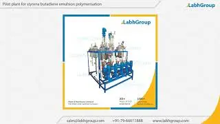 Pilot plant for styrene butadiene emulsion polymerisation | Labh Group
