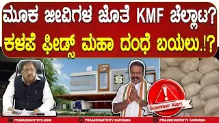 KMF SCAM | ಮೂಕ ಜೀವಿಗಳ ಜೊತೆ KMF ಚೆಲ್ಲಾಟ? - ಕಳಪೆ ಫೀಡ್ಸ್ ಮಹಾ ದಂಧೆ ಬಯಲು | GUBBI NEWS |