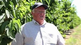 Meet Dean Devine, California Cherry Farmer