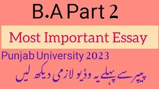 B.A part 2 important essay || English guess papers