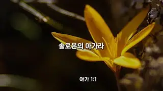 하루한장 아가 1장