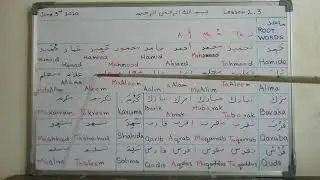 Lesson 2.3, Root words in Arabic by Language study world
