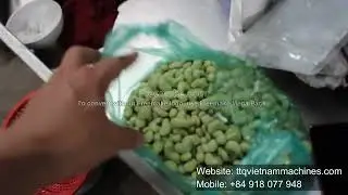 Cashew Nut Coating Machine | TTQ Vietnam Machines