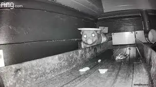 Pest Aid Possum Control One Way Exit