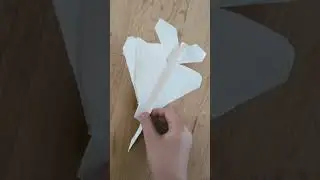 Paper F-22 #aviation #plane #airplane #airport #automobile #car #toys #truck #bus #fyp #shorts #like