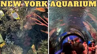 New York Aquarium Full Tour | New York City | Coney Island NewYork
