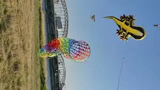 Einleiner Drachen mit leinenschmuck.(1)