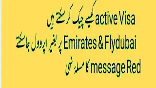 how to check visa status / ICA aprroval update / green or red message /flydubai airline