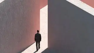 Living Asset 7 - The Exit Strategy