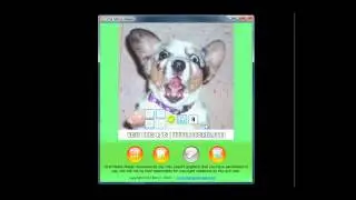 Viral Meme Maker Software