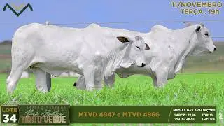 LOTE 34   MTVD 4947   4966