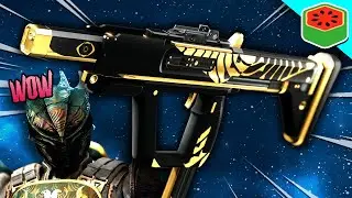I was told this Destiny 2 weapon is GODLY