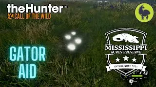 Gator Aid, Mississippi Acres | TheHunter: Call of the Wild (PS5 4K)