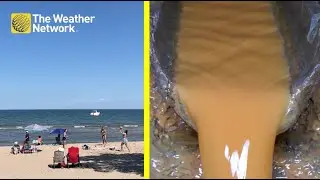The Disgusting Reason to Avoid Beaches After Heavy Rainfall