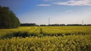 Real PowerEye footage: smooth flying and clear focus