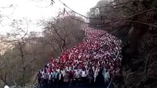 Farmers strike and long march in India.