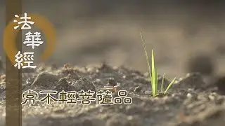 【靜思妙蓮華】 法華經常不輕菩薩品 - 宏世勤學 願利人群 - 第1761集 (ENG CC) 20240911