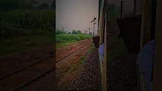 Faisalabad to Bahalike || Train journey ● Sheikhupura #train #railway #travel #nature