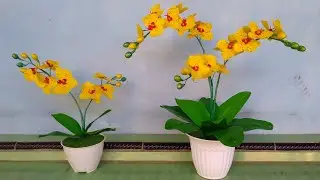Tutorial Membuat Kerajinan Bunga Anggek Bulan Dari Plastik Kresek