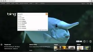 How to Use Bing