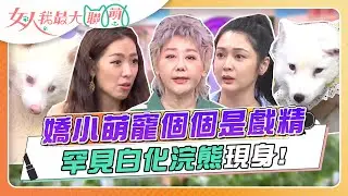 嬌小萌寵個個是戲精 罕見白化浣熊現身攝影棚！ 女人我最大 20230814 (完整版)｜卞慶華、徐凱希、Julie+ 金多多、安苡愛+鬆哥、雪寶、劉伊心＋Mumu、鄭旻忠+布丁、千龍慧+可樂