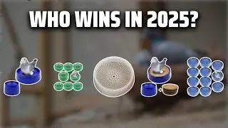 The Top 5 Best Pigeon Nest Bowl in 2025 - Must Watch Before Buying!