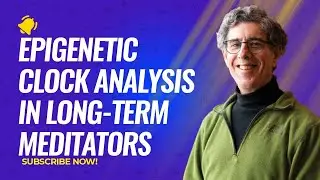 Epigenetic clock analysis in long-term meditators with Richard Davidson