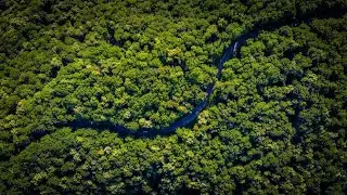 What's hidden behind 2,124,00 square miles of the unexplored Amazon forest?