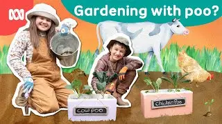 Cow poo or chicken poo? Gardening experiment 💩🧪 | Gardening Australia Junior | ABC Kids