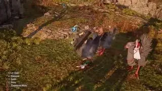 Red XIII rides a chocobo