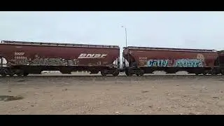 BNSF northbound grain train in west El Paso TX 01/24/26