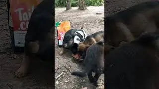 спасибо за помощь.