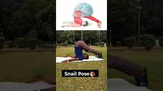 ପ୍ରକୃତି ଶିଖାଉଥିବା ଯୋଗ Animal inspired yoga#animalyoga #nature #health #odia #shortsfeed #ytshorts