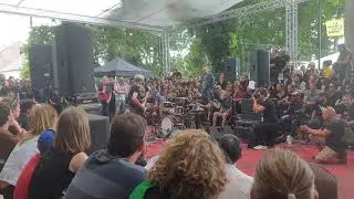 Vandal X -  #rockherk #rh19
