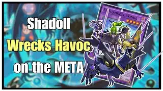 Best Shaddoll Deck Ladder Climb -Yu-Gi-Oh! Master Duel Ranked