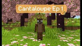 The Search for the Cherry Blossom Biome | Cantaloupe ep 1