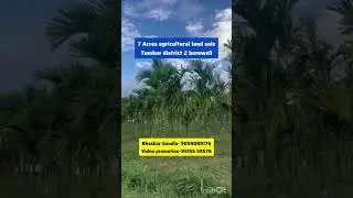 7 Acres Agricultural Land for Sale || Gubbi Taluk, Tumkur District (Karnataka)