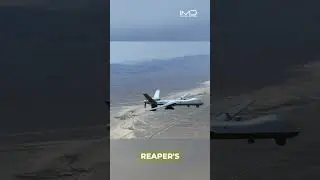 The Most Feared USAF Drone in the World | MQ-9 Reaper
